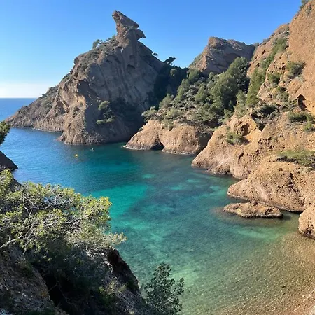 Vieux Port 1 لا سيوتا